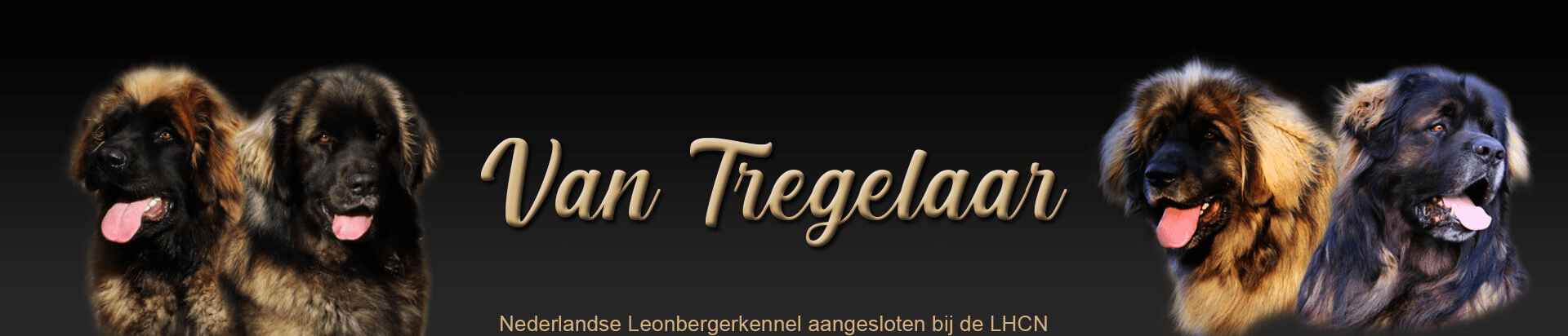 Van Tregelaar